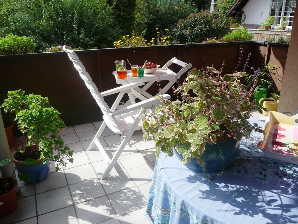 Schwarzwald Villa Gengenbach Rum bild