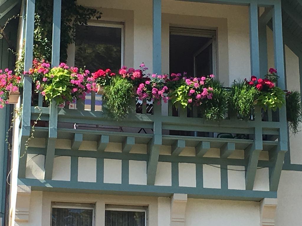 Schwarzwald Villa Gengenbach Exteriör bild